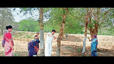 Nurturing a panchayat from arid to abundant