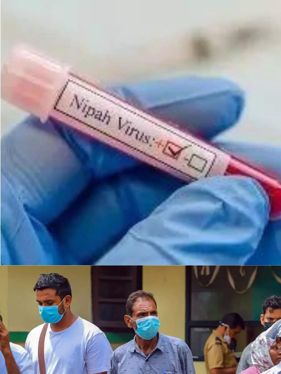 Kerala reports two Nipah virus deaths; Expert team dispatched by Centre ...