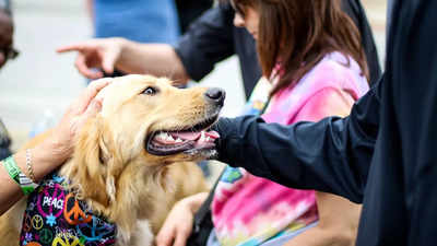 Treat your pets to this festival and spend some quality time with them