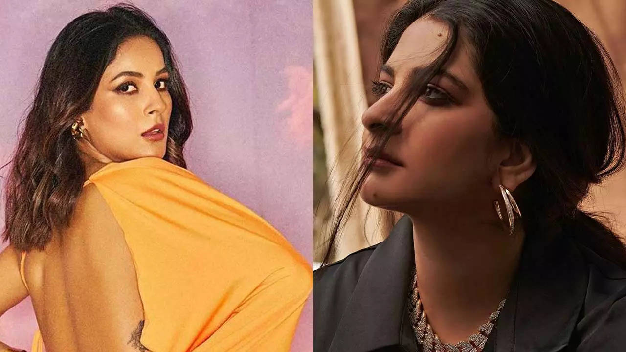 Shehnaaz Gill says Rhea Kapoor made her as stylish as Sonam Kapoor in  'Thank You For Coming' | Hindi Movie News - Times of India