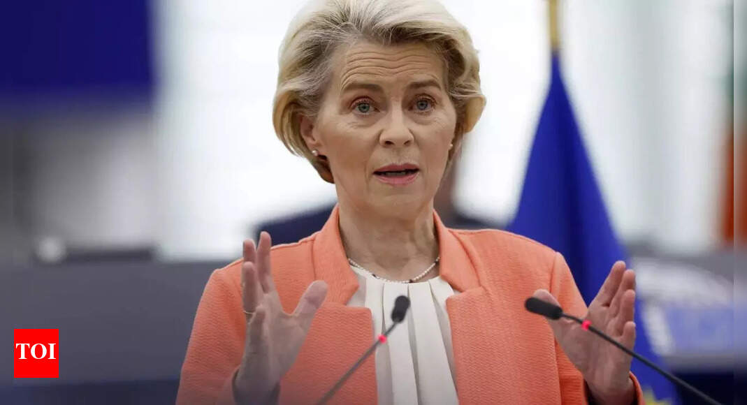 Electric Vehicles EU announces an investigation into Chinese subsidies