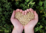 5 food groups that nourish your heart