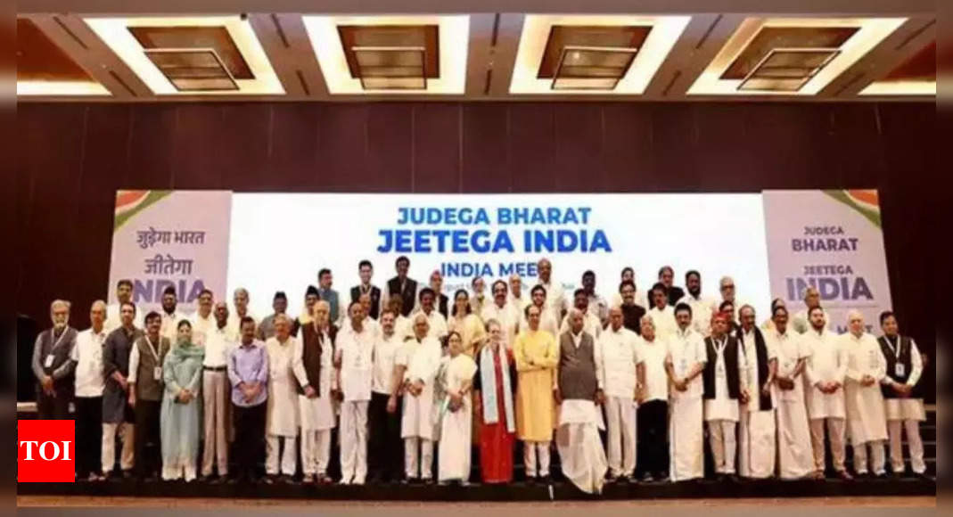 Seat Sharing Alliance Opposition India Polls INDIA Bloc To Work   Photo 