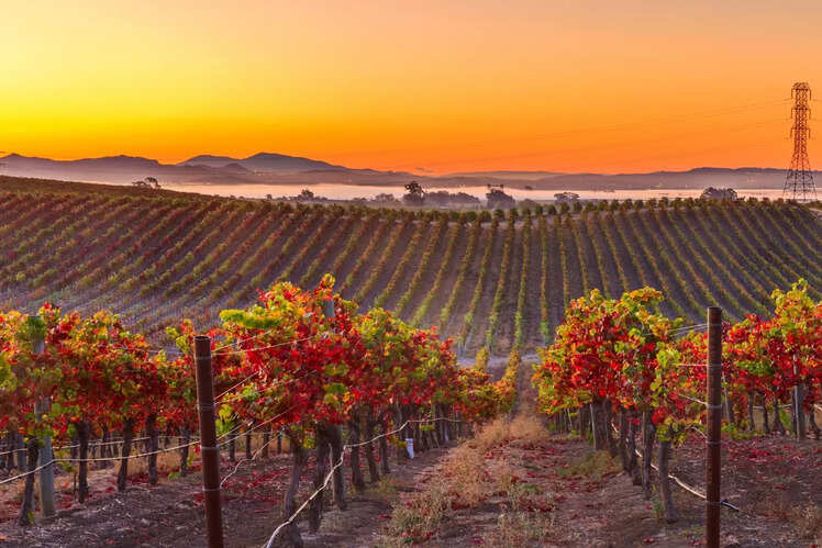 Napa Valley, California