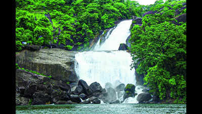 Banatheertham falls opens for visitors after 9 years