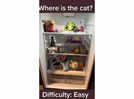 Optical Illusion: You are a true feline lover if you can spot the cat hiding in this refrigerator