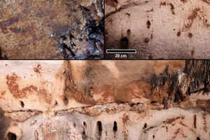 24,000-year-old Palaeolithic cave art unearthed in Spain!