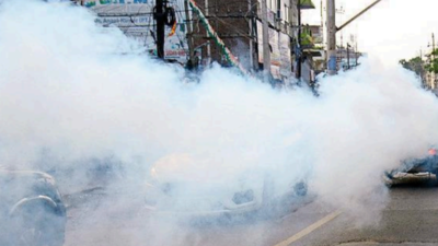 250 fresh cases take Bihar's dengue tally to 1,582
