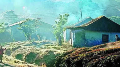 Act amended, illegal Munnar structures to be regularized