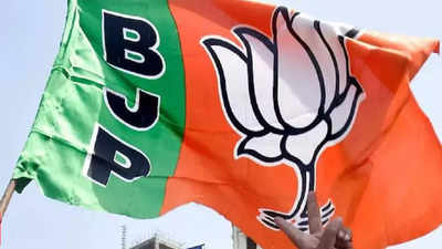 Opposition's Habit To Seek Political Mileage From Every Incident: BJP ...