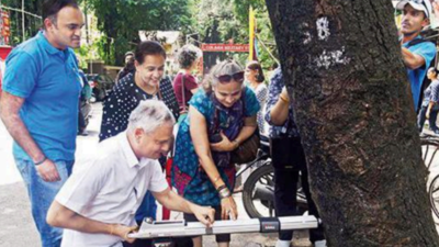 Colaba residents hire arborist to help access health of trees