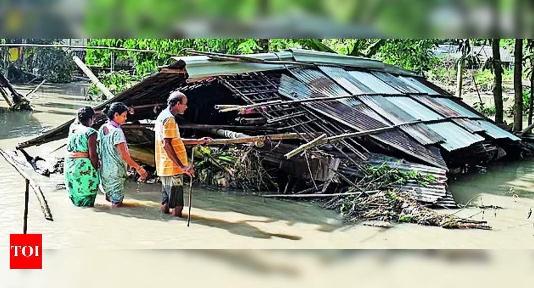 Floods Assam 12 Lakh Affected By Floods In Assam This Year Minister Guwahati News Times Of 8619