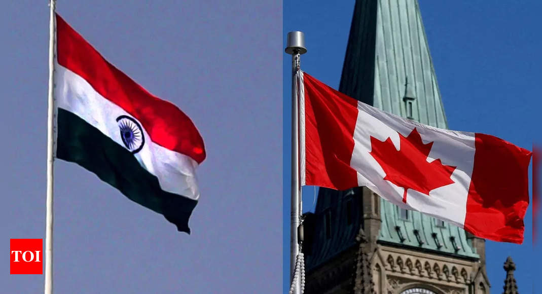 india canada news times of india