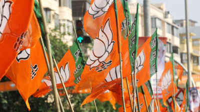 Mizoram BJP leader suspended for insubordination