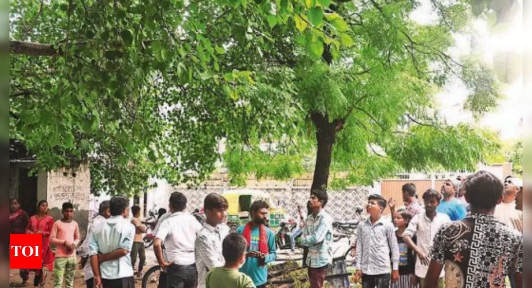 Lightning Strike Teen Takes Shelter Under Tree In Rain Dies In Lightning Strike Ghaziabad 