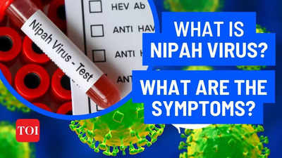 Nipah Virus Outbreak in Kerala: All about the deadly virus, symptoms and treatment – Stay Informed!