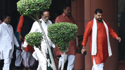 Govt panel didn't exonerate Brij Bhushan Sharan Singh: Cops to court