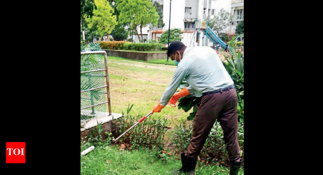 Snake Catchers New Town reptile sightings prompt swift career switch