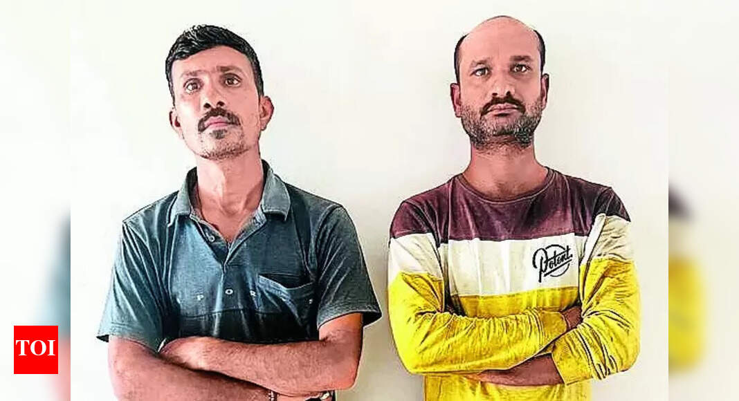 Biodiesel Adulterated Fuel Sold As Biodiesel On State Highway Rajkot