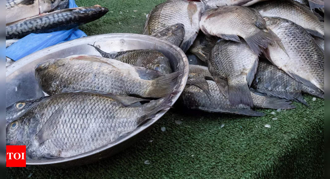 California woman has all four limbs amputated after eating bad tilapia