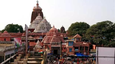 Odisha HC asks ASI to expedite repair of cracked beam inside Puri temple