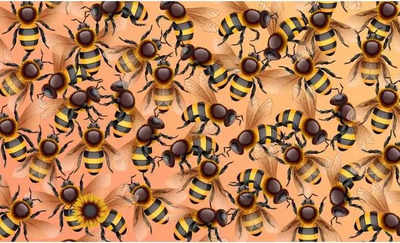 Only 1 percent of viewers can spot a sunflower among these bees