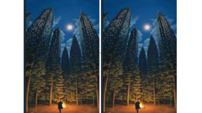 Optical Illusion: What you see reveals what you have been dreaming about