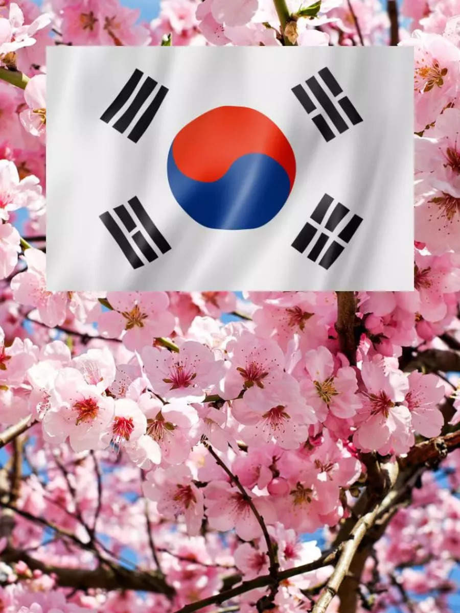 10-beautiful-korean-words-and-their-meaning-times-of-india