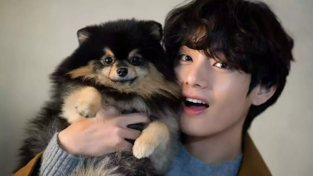 BTS member V lauds his dog Yeontan for being the first ever K-pup artist |  K-pop Movie News - Times of India