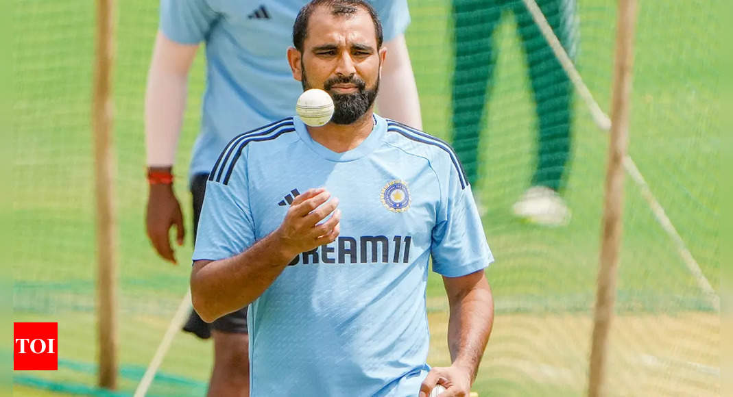 Domestic Violence: Mohammed Shami gets bail in domestic violence case