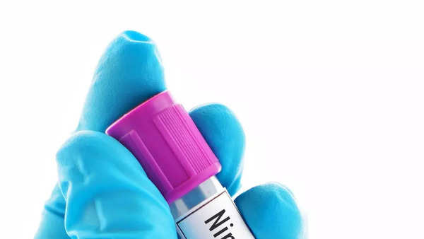 10 Nipah Virus Symptoms You Should Be Aware of