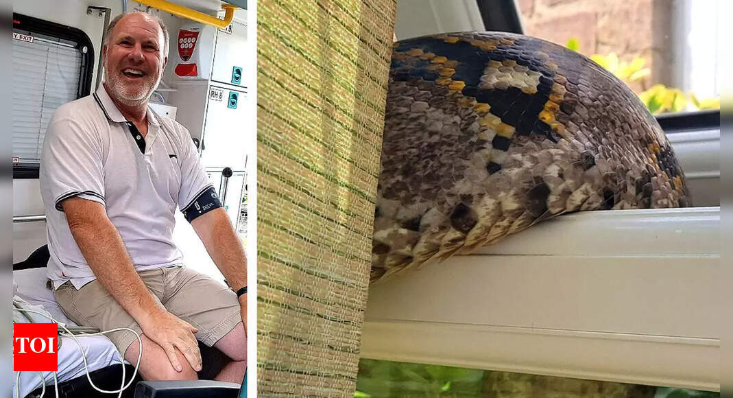Shocking! Giant python enters a car through the window and attacks a ...