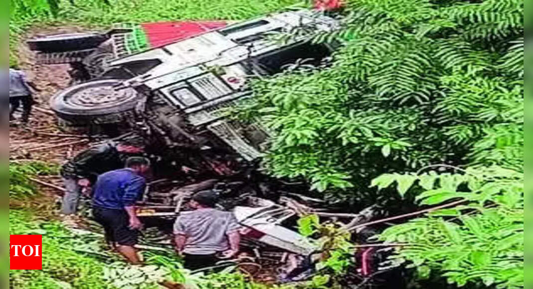 8, including 5 women, killed in Nagaland road accident | Guwahati News ...
