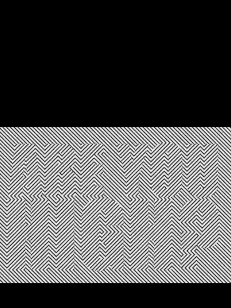 Optical Illusion Find The Hidden Sentence In The Picture In 9 Seconds