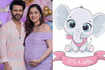 Rahul Vaidya and Disha Parmar's beautiful journey from love story to parenthood; couple blessed with baby girl