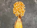 Corn Helps to Prevent Anaemia 
