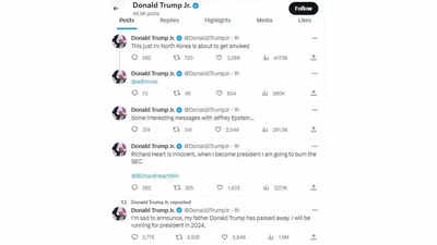 Donald Trump Jr's account hacked, posts claimed 'Trump is dead'
