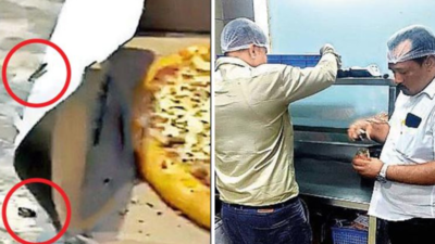Ahmedabad: Insects found in pizza, Ellisbridge outlet shut