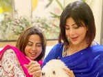 Inside pictures from Kartik Aaryan’s Ganesh Chaturthi celebrations with Sara Ali Khan, Mrunal Thakur and others