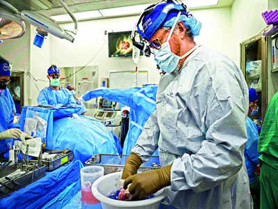 US surgeons perform second pig heart transplant, trying to save a dying man