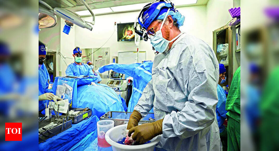 US surgeons perform second pig heart transplant, trying to save a dying