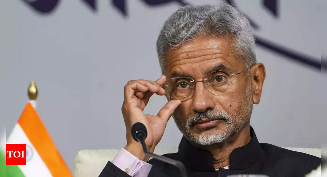 It is still a world of double standards: EAM Jaishankar | India News -  Times of India