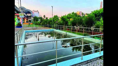 Chennai: Defunct Adyar park fountain turns breeding ground for mosquitoes