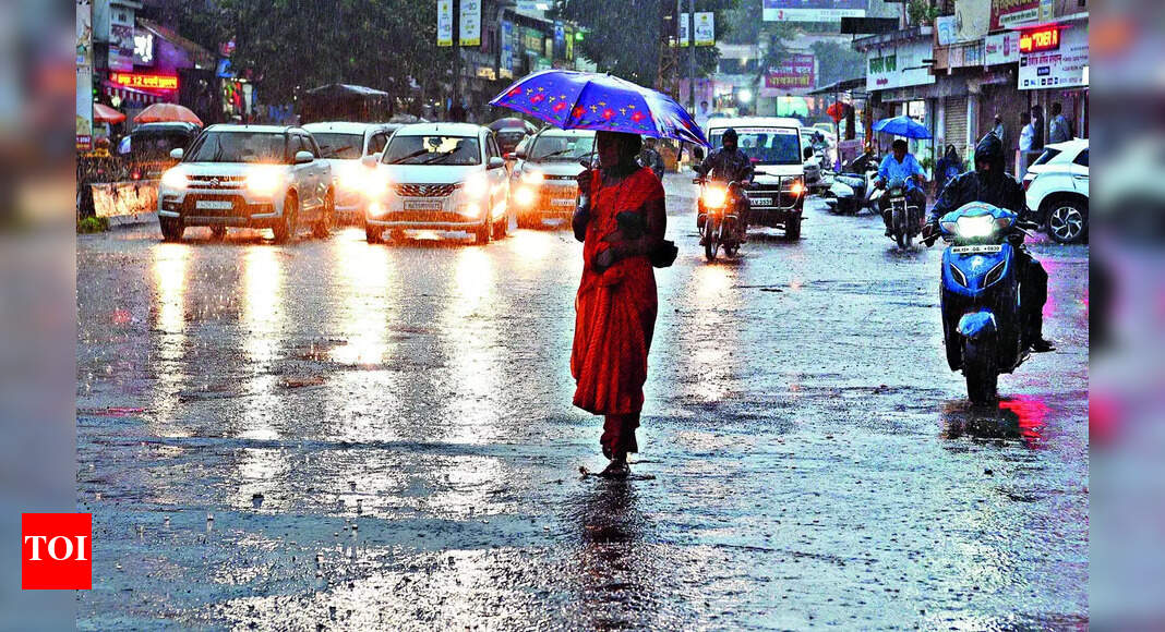 Rabi Crops: Heavy Showers Revive Crops In Nashik Dist | Nashik News ...