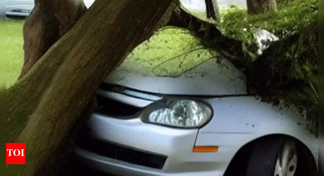 Five killed as car rams into tree in Madhya Pradesh's Umaria | Bhopal ...