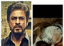 Shah Rukh Khan's highest BO collection