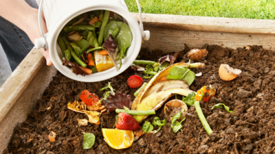 Compost that are rich in nutrients for flourishing plants and better soil (May, 2024)
