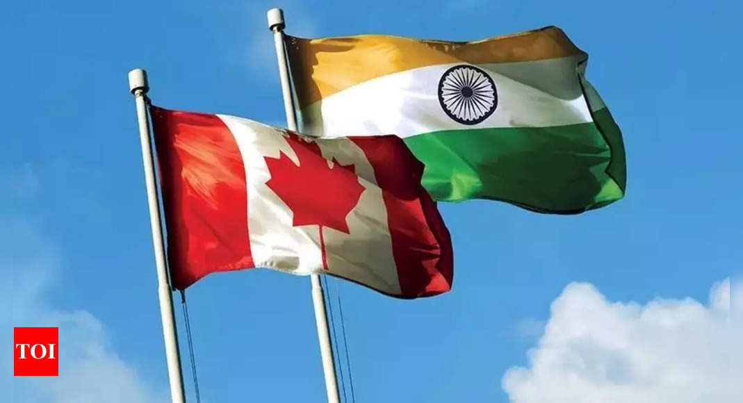 India Canada News Canadian Army Vice Chief Says Diplomatic Row Will   Photo 