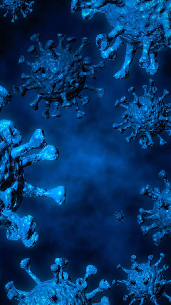 10 Key Things to Know About Disease X - The Next Pandemic 10 Key Things to Know About Disease X - The Next Pandemic