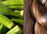 Benefits of Bhindi water for hair growth